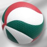 توپ والیبال مولتن زنبوری 6000 - Image 2